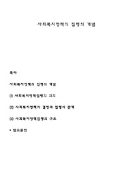 사회복지정책의 집행의 개념
