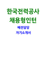 한국전력공사 자소서