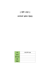 A+ [cervical spine injury 경추손상] 성인간호학 / 간호진단 4개 / 간호과정 4개