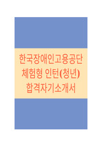 한국장애인고용공단 체험형 인턴 합격자기소개서+면접자료(최신자료)