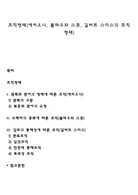 조직형태(에치오니, 블라우와 스콧, 길버트 스미스의 조직 형태)