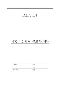 A+ 보장 심장의 구조와 기능 심장 구조 그림