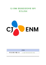 CJ ENM 엔터테인먼트부문 합격 자기소개서