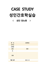 성인 당뇨병 문헌고찰/간호진단/간호과정