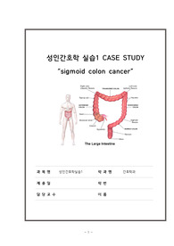 간호학과 성인간호학 케이스 s-colon cancer 주제로 작성한 케이스 입니다. 문헌고찰에 대장암 수술과 그 후 간호에 대해 상세하게 기입해놓았으니 문헌고찰을 중요하게 여기는 교수님과 컨퍼런스를 진행하실 분이라면  충분히 도움이 될 케이스 자료입니다.