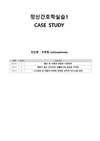 조현병 사례보고서 간호과정 3개