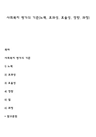 사회복지 평가의 기준(노력, 효과성, 효율성, 영향, 과정)
