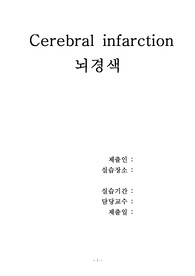 A++ 뇌경색 간호과정(CASE) 간호진단 3개 포함!!