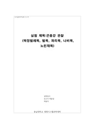 동식물분류학실험_곤충강 관찰 (딱정벌레목, 벌목, 파리목, 나비목, 노린재목)