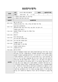 요양원 사회복지사 일일실습일지