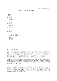 물리세특보고서( 전자기유도와 보안성)