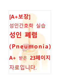 [A+보장]성인간호학 실습 성인 폐렴(Pneumonia) 간호진단, 간호과정, 컨퍼런스, 케이스스터디 23페이지 자료입니다.