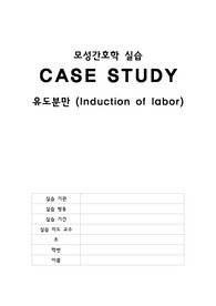 모성 유도분만 문헌고찰 및 간호과정(CASE STUDY)/ 간호진단 1개 평가까지 포함
