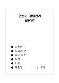 안전(사례질문에 답하기) REPORT