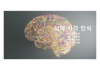 뇌와 시각 인식 PPT