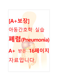 [A+보장]아동간호학실습 폐렴(Pneumonia) 컨퍼런스, 케이스스터디, 간호진단, 간호과정 16페이지 자료입니다.