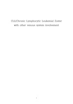 CLL Zoster 간호과정_케이스스터디