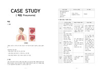 아동간호 - 폐렴 CASE, 간호진단3개, 문헌고찰, 간호과정 많음