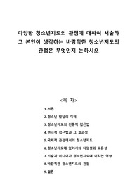 다양한 청소년지도의 관점에 대하여 서술하고 본인이 생각하는 바람직한 청소년지도의 관점은 무엇인지 논하시오