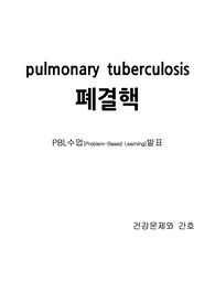 폐결핵_간호진단2개