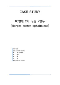 케이스스터디 대상포진