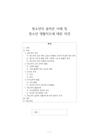 청소년의 올바른 이해 및 청소년 생활지도에 대한 의견
