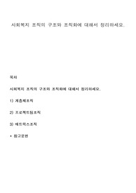 사회복지 조직의 구조와 조직화에 대해서 정리하세요