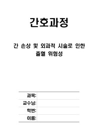 성인간호학 출혈위험성 간호진단