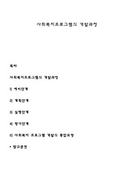 사회복지프로그램의 개발과정