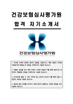 건강보험심사평가원 심사직 합격 자기소개서 [2022 하반기]