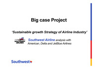 Southwest Airline analysis