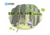 유한킴벌리 ERP 구축 사례