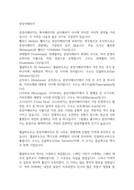 중앙아메리카
