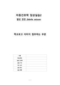 A+ 열성경련 CASE (아동간호학)