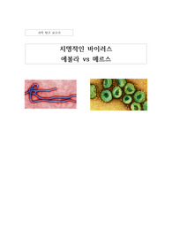 치명적인 바이러스 에볼라와 메르스