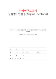 성인간호실습 협십증 간호과정