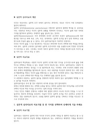 실존적심리치료_내 삶에서 경험한 고통의 의미