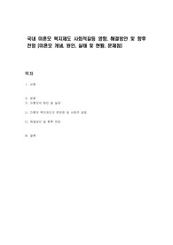 국내 미혼모 복지제도 사회적갈등 영향, 해결방안 및 향후전망 (미혼모 개념, 원인, 실태 및 현황, 문제점)