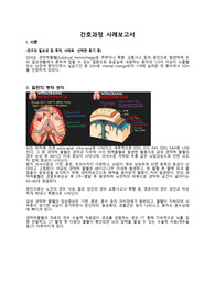 성인간호학/응급실/SDH/간호과정/케이스스터디(진단 6개, 과정 2개)