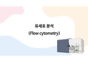 유세포 분석 Flow cytometry(FACS) 기초 교육자료(슬라이드노트 대본 포함)