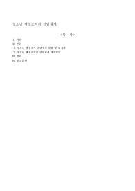 청소년 행정조직의 전달체계