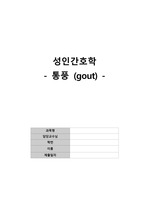 성인간호학-통풍(gout) 문헌고찰, 대상자 사례, 간호진단 3개 간호과정 3개