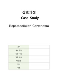 HCC 간세포암 케이스 A+(간호진단5개,간호과정3개)