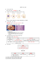 병리학 국시 정리