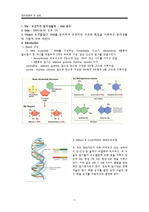 DNA 분리