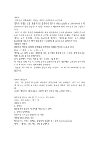 엽록체