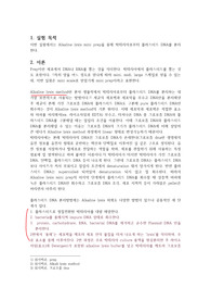 [화학과 수석의 A+ 레포트][조교피드백 포함] 박테리아에서 DNA 분리 (생화학 실험)