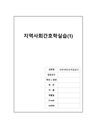 지역) 개별 보고서