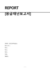 성인간호학실습_응급재난간호보고서