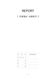 자세한 국제재난사례연구